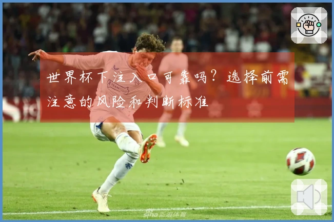 世界杯下注入口可靠吗？选择前需注意的风险和判断标准