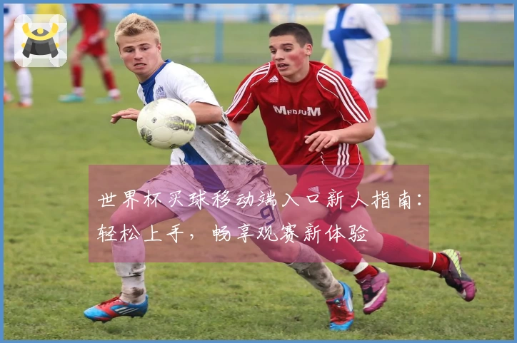 世界杯买球移动端入口新人指南：轻松上手，畅享观赛新体验