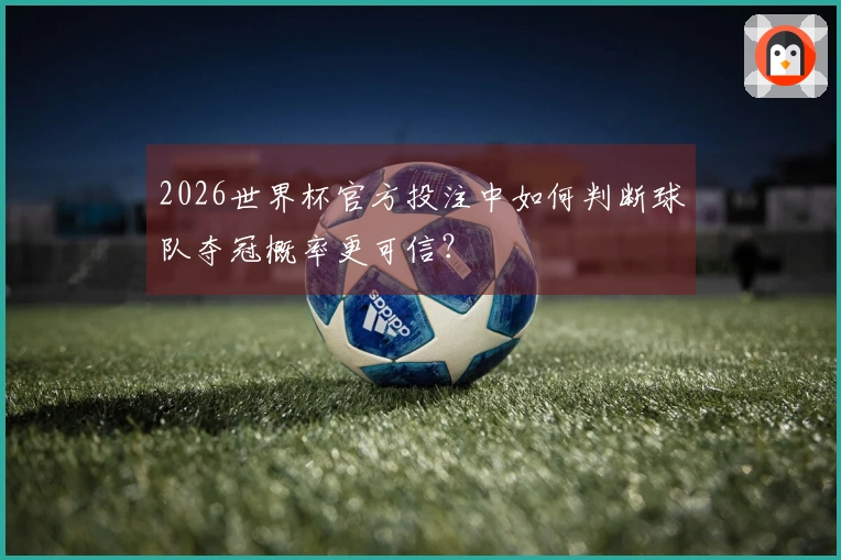 2026世界杯官方投注中如何判断球队夺冠概率更可信？