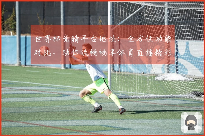 世界杯竞猜平台地址：全方位功能对比，助你流畅畅享体育直播精彩体验