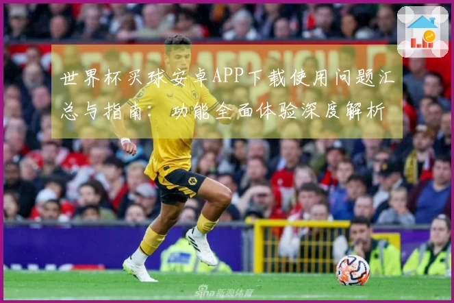 世界杯买球安卓APP下载使用问题汇总与指南：功能全面体验深度解析