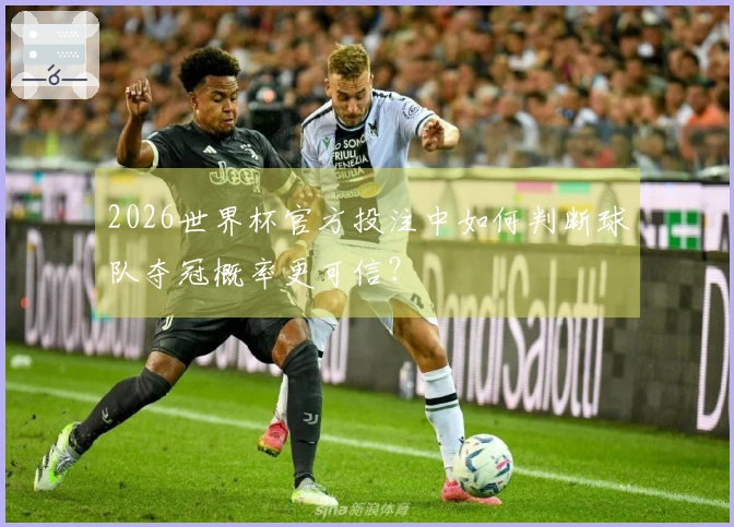 2026世界杯官方投注中如何判断球队夺冠概率更可信?