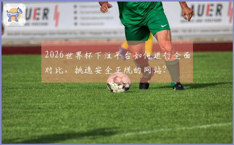 2026世界杯下注平台如何进行全面对比,挑选安全正规的网站?